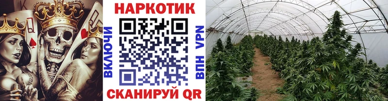 Какие есть наркотики Павловск Кокаин СОЛЬ Конопля Псилоцибиновые грибы Мефедрон АМФ