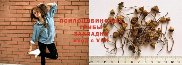 хмурый Белоозёрский